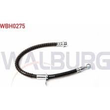 ON SAG FREN BORUSU R19 ( 140cm )