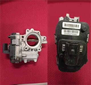 KELEBEK GOVDESI SAG        DFL