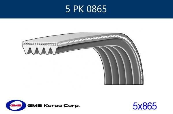 GMB 5PK865 - KANALLI KAYIS