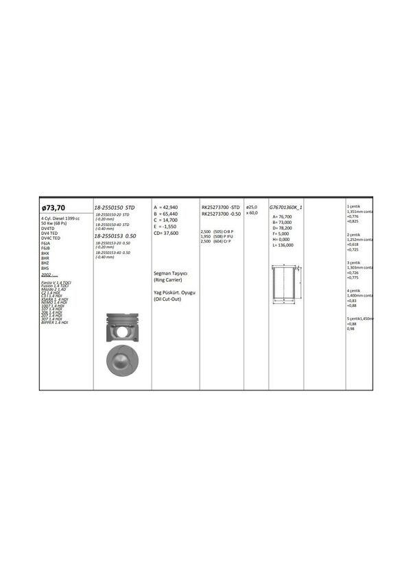 MOTOR PISTON+SEGMAN [ RIKEN ] 73.70 MM [+ 0.50] PEUGEOT P107 P206 P307 BIPPER CITROEN NEMO 1.4 HDI 8V FORD FIESTA 1.4 TDCI DV4TD DV4C ####