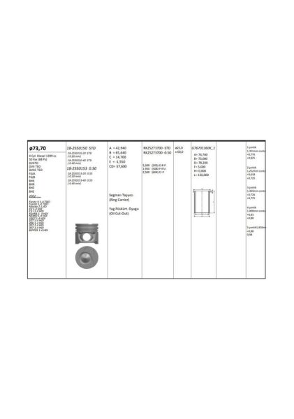 MOTOR PISTON+SEGMAN [ RIKEN ] 73.70 MM [+ 0.50] PEUGEOT P107 P206 P307 BIPPER CITROEN NEMO 1.4 HDI 8V FORD FIESTA 1.4 TDCI DV4TD DV4C ####