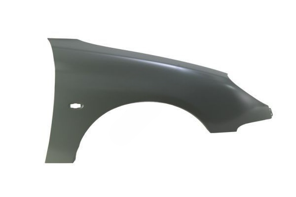 Peugeot 206 Sağ Ön Çamurluk Isaco