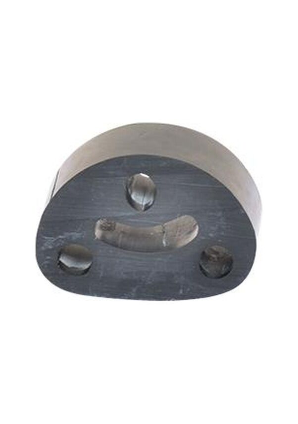 EKSOZ ASKI LASTIGI PALIO