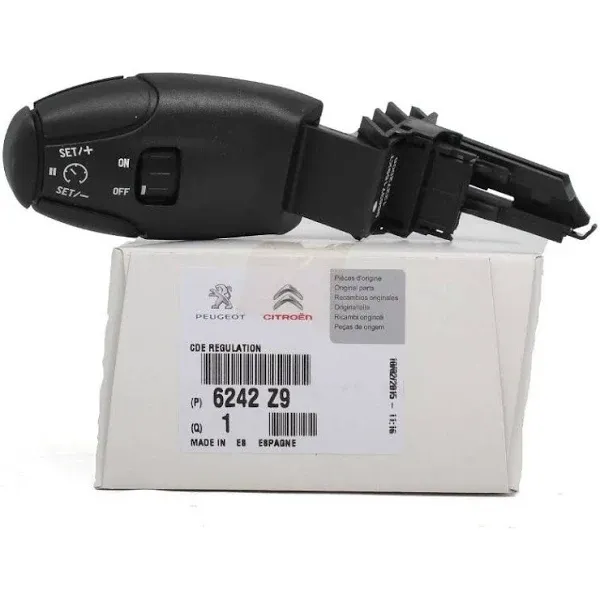 Peugeot 307 Hız Sabitleme Kolu