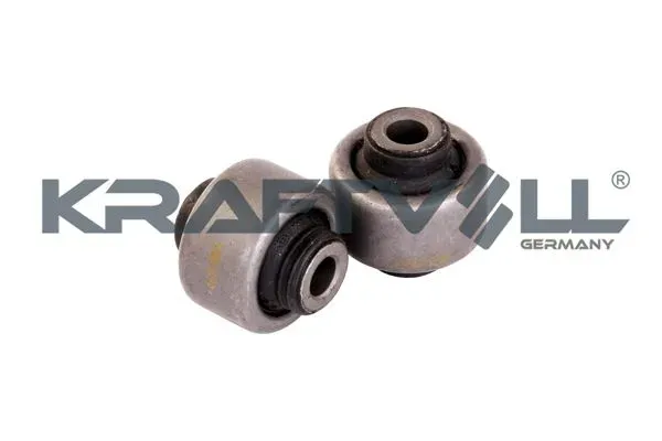 SALINCAK BURCU C4 P407 01 09