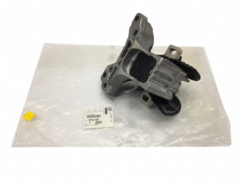Peugeot 407 Sol Üst Şanzuman Kulağı Orjinal