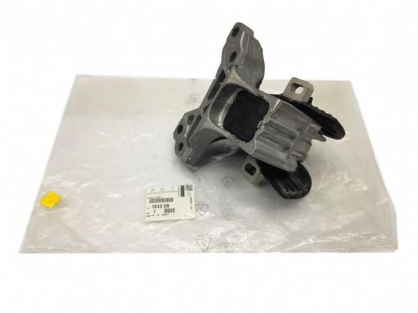 Peugeot 407 Sol Üst Şanzuman Kulağı Orjinal